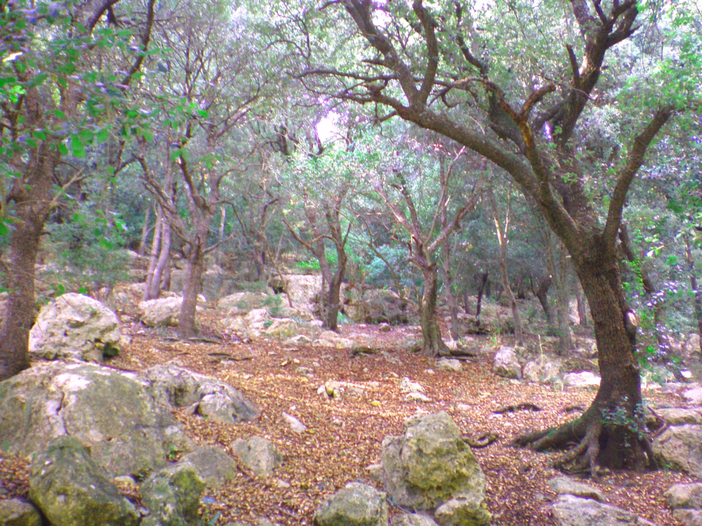 Ruta 7 · Ruta gravel