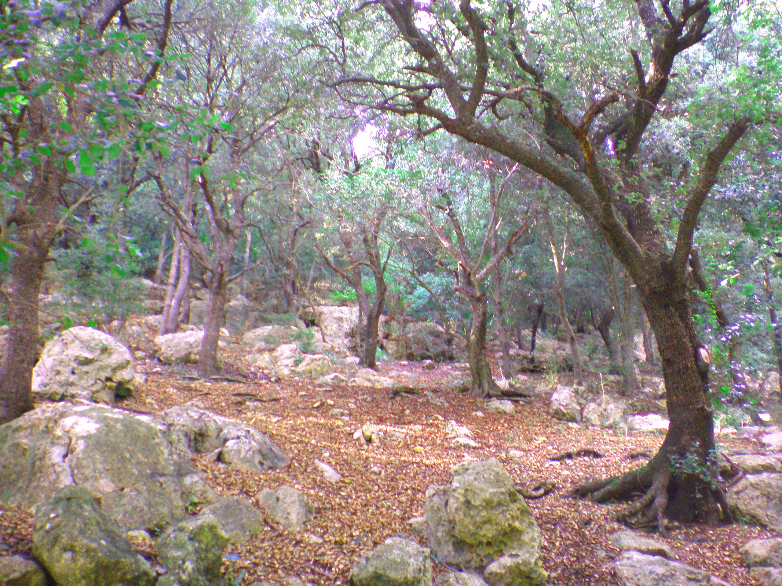 Ruta 7 · Ruta gravel